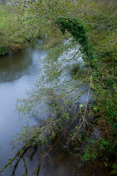 Coto de Piedra Blanca, R&iacute;o Esva, Pueblo de Canero, Asturias