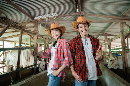 Close Up Of A Couple Farmer Wearing A Hat Standing Back To Back Smiling Looking At The Camera With Thumbs Up In The Cattle Breeding Stable