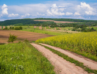 Fototapeta na wymiar Spring countryside view with dirty road, rapeseed yellow blooming fields, village, hills. Ukraine, Lviv Region.