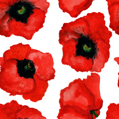 watercolor seamless pattern poppies