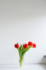 Tulip bouquet standing on the transparent glass vase on the white wooden background - Simplicity and nature