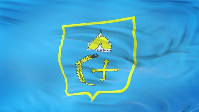 Sumy Oblast (province of Ukraine) flag waving in the wind with highly detailed fabric texture. Seamless loop
