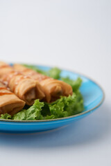 isolated fish roll on plate