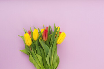 Bouquet of tulips on a pink background.