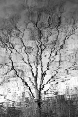 Río Asón, tramo alto entre Ramales y Arredondo.  Cantabria. España