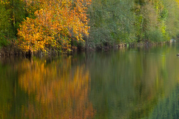 Río Asón, tramo alto entre Ramales y Arredondo.  Cantabria. España