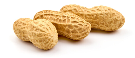 Peanut, close-up, isolated on white background