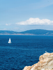 nice scene of a sailboat in the blue sea and a seagull on the rocks with the mountains in the background