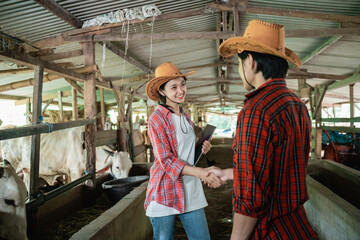 Fototapeta premium a boy wearing cowboy hat shaking hands with girls in cattle sheds