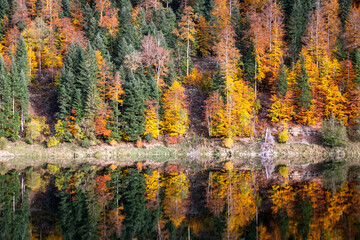 Paysage d'automne au barrage du Châtelot, sur le cours du Doubs à la frontière entre la France...