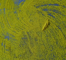 green moss background