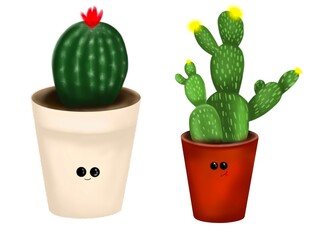 Mix cactus in a pot