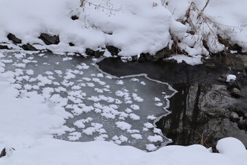 frozen water in the forest