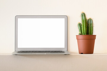 Modern laptop with blank screen near cactus