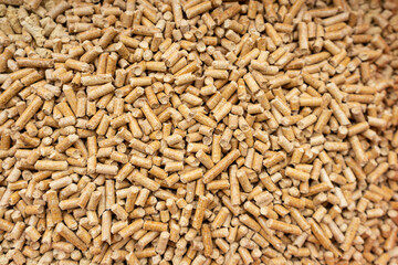 Some sanitary woods for cats