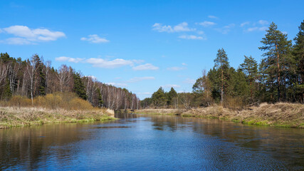 Scenic spring landscape with a small winding river flows through the forest. Tver region of Russia, Europe. Calm sunny day in April