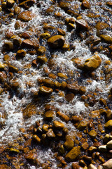 Río Pas, Riolangos, Cantabria.