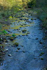 Río Pisueña, Puente del Diablo,Cuenca del Pas, Cantabria.