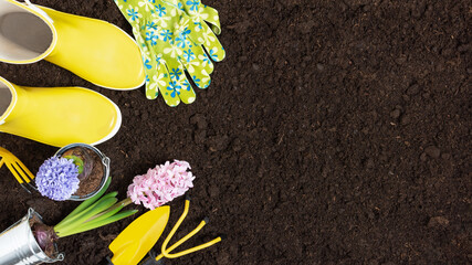 Gardening tools and flowers on soil background top view.