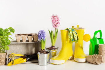 Gardening tools and flowers for planting.
