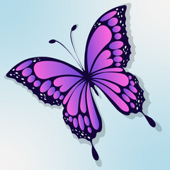 butterfly