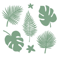 Vector set bundle of green hand drawn palm and monstera leaf silhouette isolated on white background