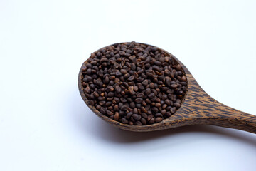 Black seed of morning glory