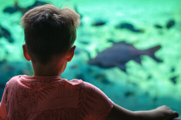 Fototapeta premium in the aquarium in front of a large aquarium with fish