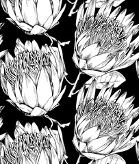 Seamless wallpaper pattern. Protea (Sugarbushes) flowers and leaves. Textile composition, hand drawn style print. Vector black and white illustration.