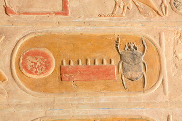 Close up of a wall with signs in a temple in Karnak in Egypt. The hieroglyphs show ancient words.