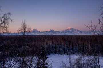 Alaska Range - Denali, Foraker, Hunter (south view)
