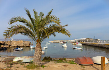 View of the small port of the island of Tabarca off the coast of Alicante in Spain. Some small boats are in the water and on the bank. In the foreground is a small palm tree.