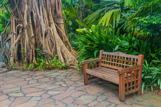 Bench in Singapore Botanic Gardens.