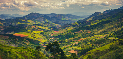 vale verde 