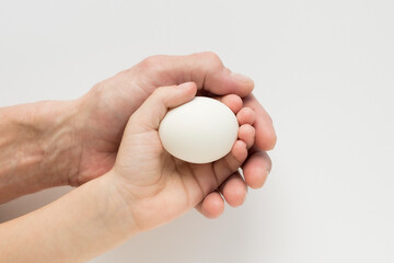 Hand of a child and an adult holding an egg