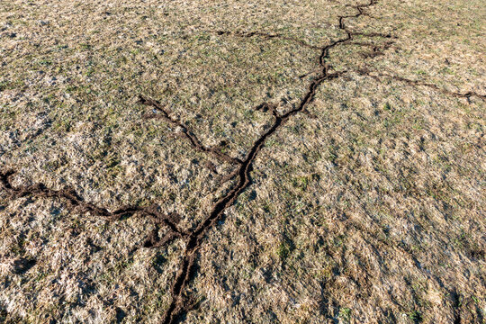W&Uuml;HLMAUSG&Auml;NGE . MEADOW VOLE HOLES