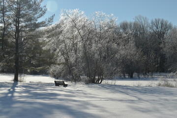 Winter snow landscape