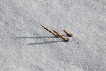 Fototapeta na wymiar Grain stubble in a snow covered field in winter