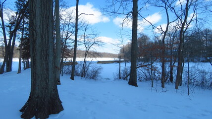 Winter snow landscape