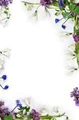 Spring decoration. Frame of flowers white snowdrops, blue scilla, violet pink hollowroot on a white background with space for text. Top view, flat lay