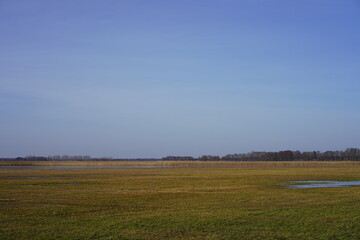 Obraz premium Sonniges Naturpanorama mit Wiese, Wasser, Schilf und Wald unter milchig blauem Himmel bei Sonnenschein (Naturschutzgebiet Rietzer See, Brandenburg)