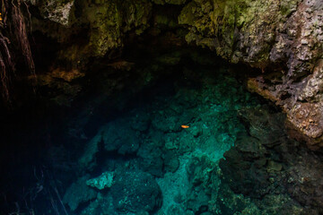 Pond in a cave in the National Park El Choco near Cabarete, Dominican Republic