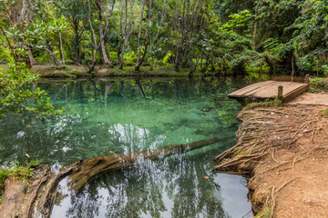 Pond in the National Park El Choco near Cabarete, Dominican Republic