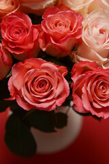 Beautiful white, red, tabby tea rose flowers in a vase, photographed from above on the red table. Spring flowers. Wedding mothers day and valentines day background. Selective small depth of field.
