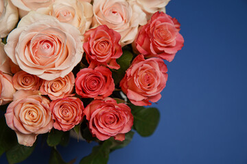 Beautiful white, red, tabby tea rose flowers in a vase, photographed from above on the blue table. Spring flowers. Wedding mothers day and valentines day background. Selective small depth of field.