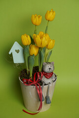 Beautiful yellow tulip flowers in a vase on a green  background. Spring flowers. Mother's day and valentines day background. Selective focus, small depth of field.