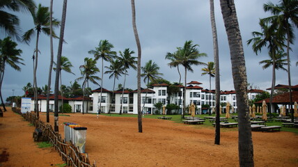 SONY DSC © Sokole Oko