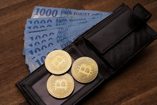 1000 Hungarian forint paper cash, in a wallet. Brown wooden table. Next to it are three gold bitcoin digital cryptocurrency coins. Bank image and photo background.