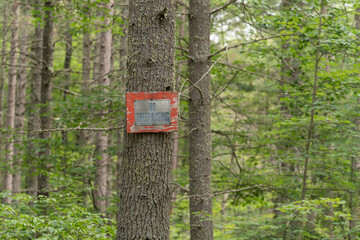 weathered sign on tree