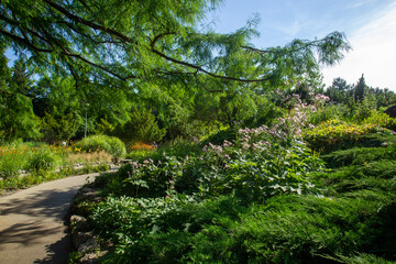 Fototapeta na wymiar japanese garden on Margaret island in Budapest. Excellent holiday in summer